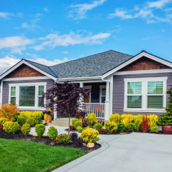 Home/Mobile Home Insurance