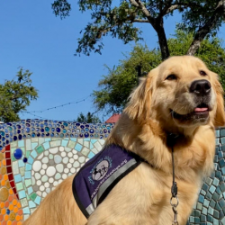 Hope for the Future Scholarships