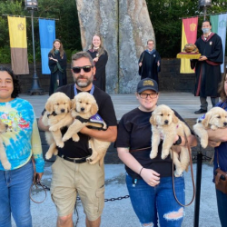 Volunteer Application