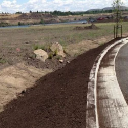 Construction + Landscaping