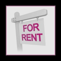 Property Rentals