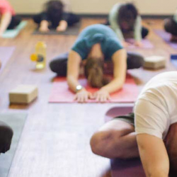 Yoga Classes