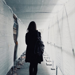 Safety, Security, & Loss Prevention Training Courses