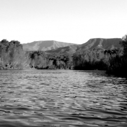 Conservation Services