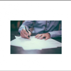 Insurance Options for Small Businesses