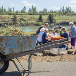 Pocket Park Clean Up 