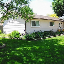 Landscaping