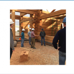 Construction Project Management