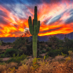 Looking For A Speaker?