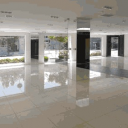 Expert Property Oversight