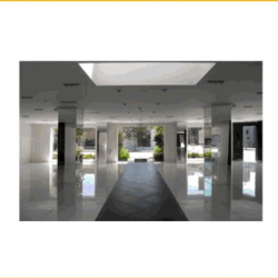 Local Government Interface