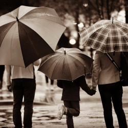 Umbrella Insurance