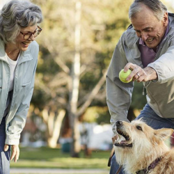  Medicare Advantage Plans