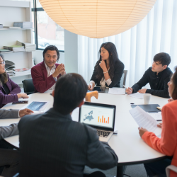 Business and Governmental Management Services