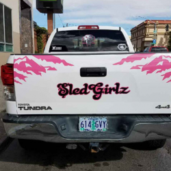 Logo On Your Vehicles