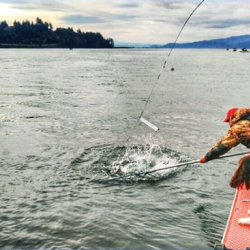 Defending Columbia River Gillnet Reforms