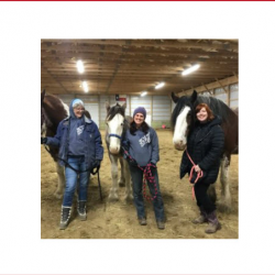 Spouses Equine Development