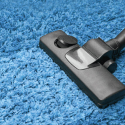 Carpet Cleaning