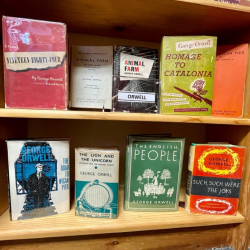 Mystery & Detective Fiction