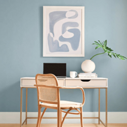 Interior Paints & Coatings