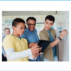 Assessment Insights Workshops