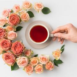 Rejuvenating Nutrition Test