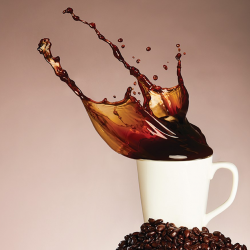 Commercial Photography