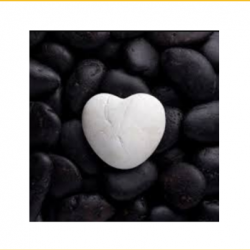 Intensive Reading(s)