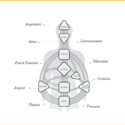 Home Parties (5-8 People) Package