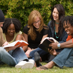 Team Building, Retreats or Workshops