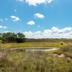 Investing in Real Estate 