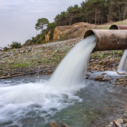 Water and Sanitation