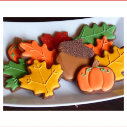 Seasonal Dog Cookies