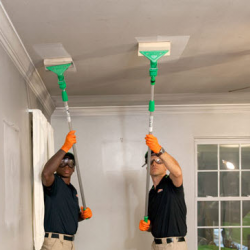 Fire and Smoke Damage