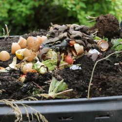 Compost