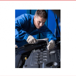 Lifetime Maintenance