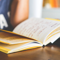 Scholarship 
