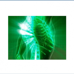 Catastrophic Injuries