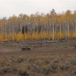 Book Your Fall Rides