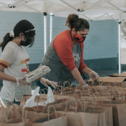 Meals on Wheels Program