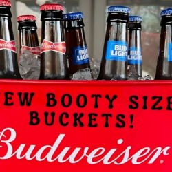 Draft Beer