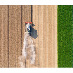 Farm and Ranch Insurance