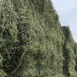 Retail Hay for Sale