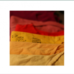 Dry Cleaners & Laundries