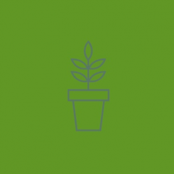 Find your Personal Plant 