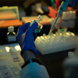 Cancer Research