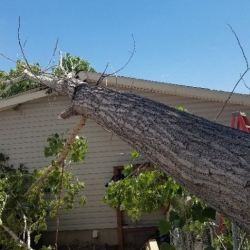 Roof Damage And Roof Material
