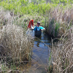 Hydrology Engineering