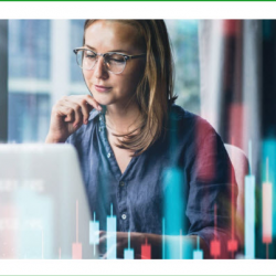 Business Plan Review and Development