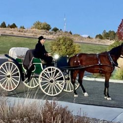  Parking for 4-6 Vehicles